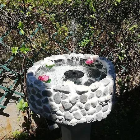 度假居 Alexandra's House *